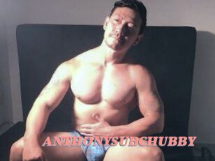 ANTHONYSUBCHUBBY