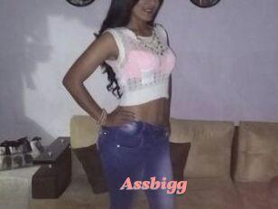 Assbigg