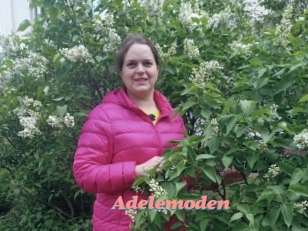 Adelemoden