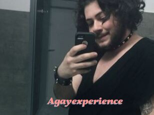 Agayexperience