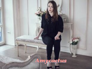 Amycactus