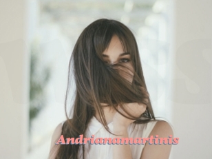 Andrianamartinis