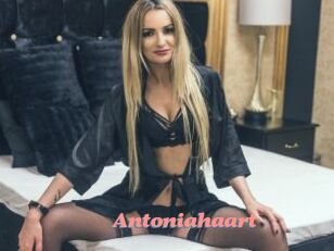 Antoniahaart