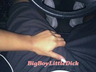 BigBoyLittleDick