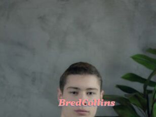 BredCollins