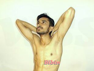 Bibin