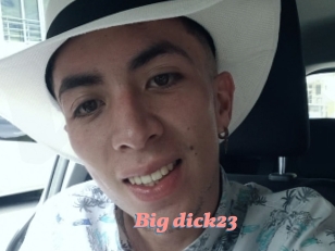 Big_dick23