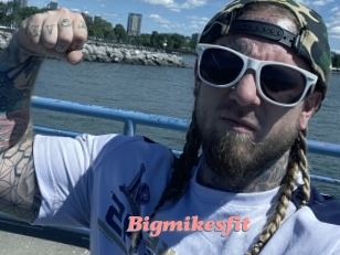 Bigmikesfit