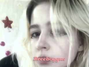 Breeboggus