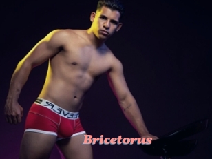 Bricetorus