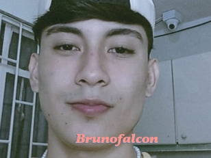 Brunofalcon