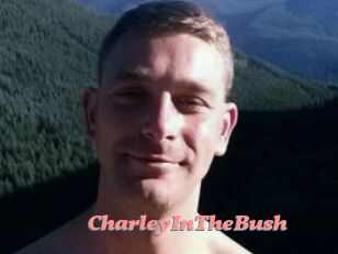 CharleyInTheBush