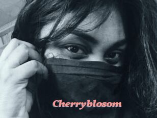 Cherryblosom