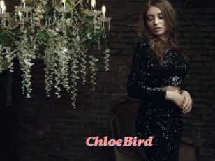 ChloeBird