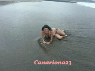 Canariona23