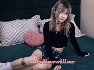 Carolinawillow