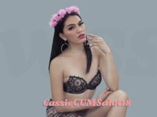 CassieCUMSalot18