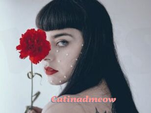 Catinadmeow