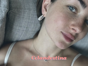 Cclandestina