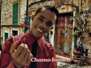 Chamo_brown