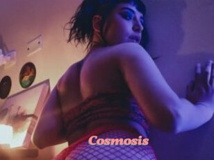 Cosmosis