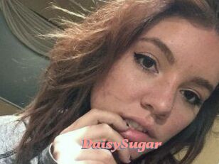 Daisy_Sugar