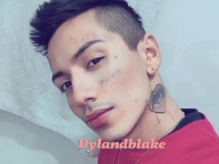 Dylandblake