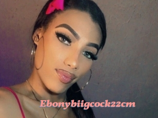 Ebonybiigcock22cm