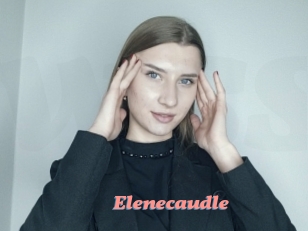 Elenecaudle