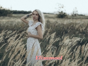 Elizamool