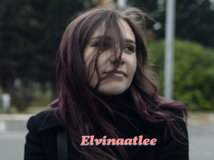 Elvinaatlee