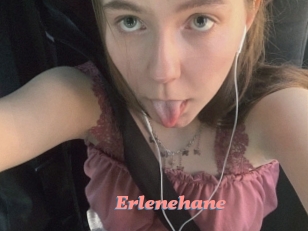 Erlenehane