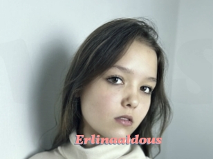 Erlinaaldous