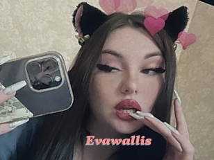 Evawallis