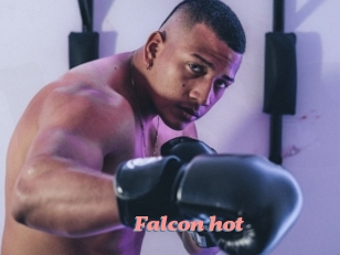 Falcon_hot