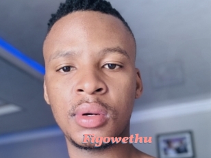 Figowethu