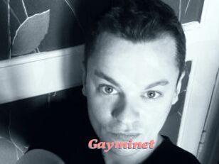 Gayminet