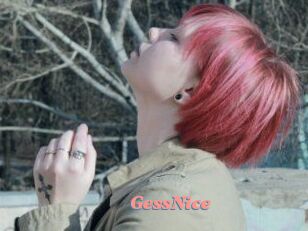 GessNice