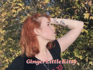 GingerLittleKitty