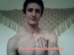 HandsomeHawkins