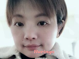 Haringo