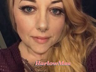 Harlow_Mae