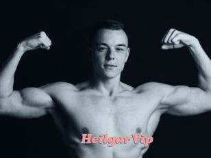 HeilgarVip