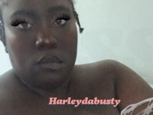 Harleydabusty