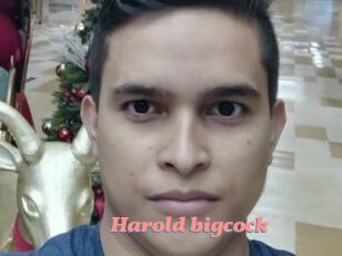 Harold_bigcock