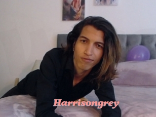 Harrisongrey