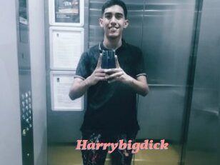 Harrybigdick