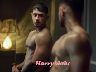 Harryblake