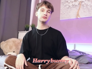 Harrybunny