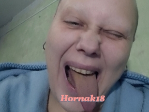 Hornak18